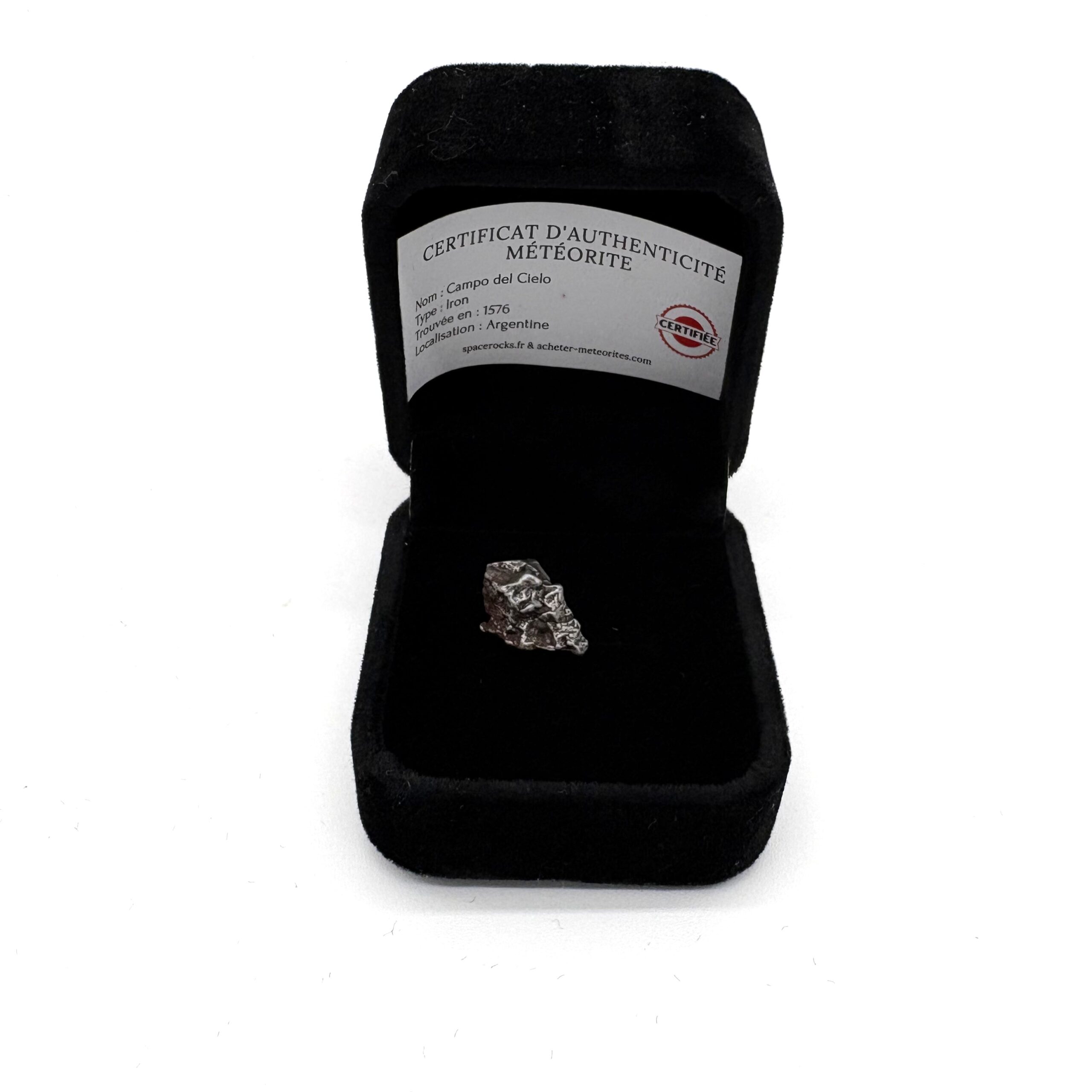 fragment meteorite campo del cielo in a black case (1)