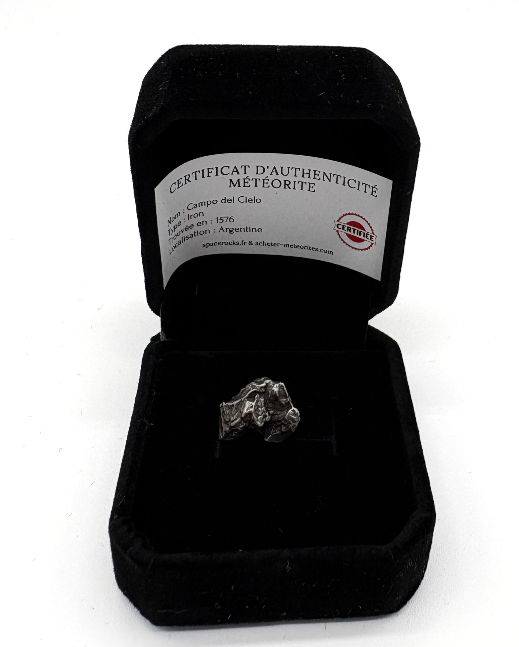 fragment meteorite campo del cielo in a black case (4)