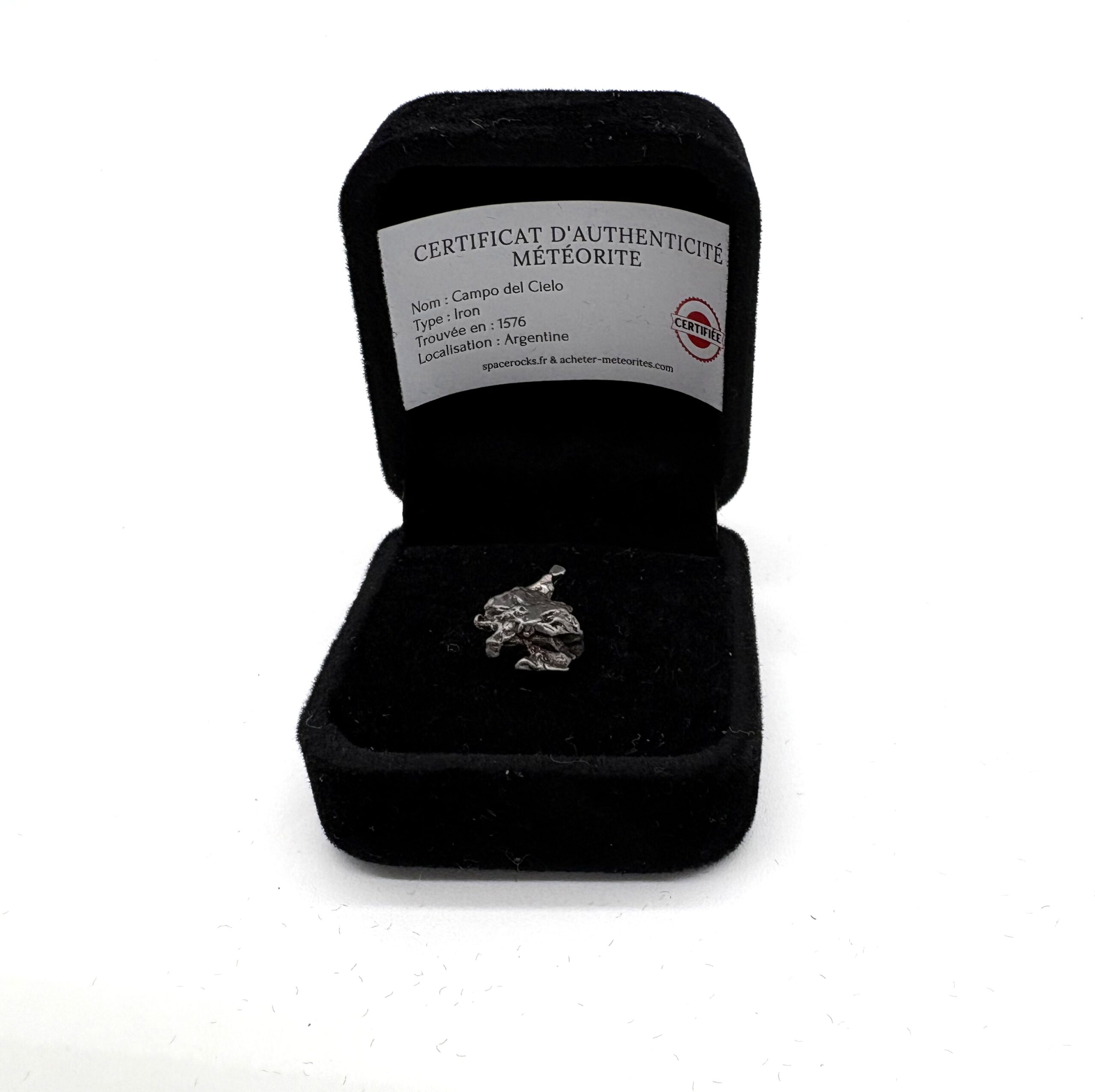 fragment meteorite campo del cielo in a black case (7)