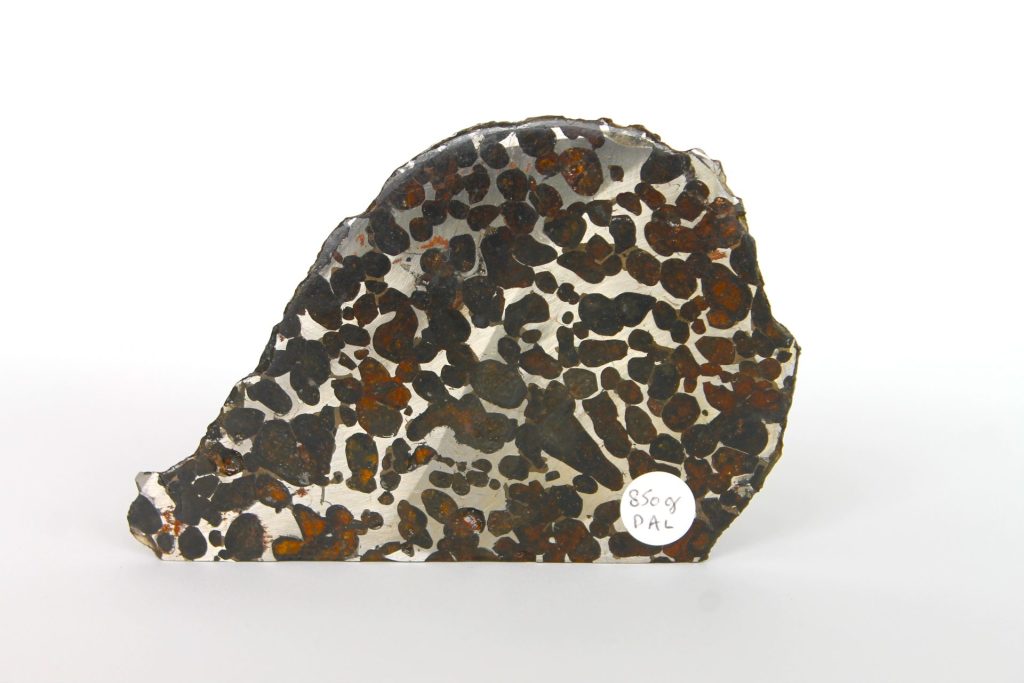 Pallasite Sericho meteorite price
