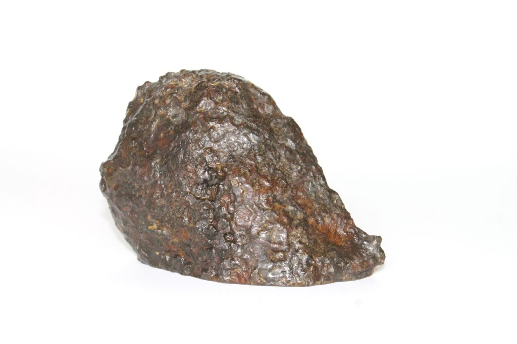 meteorite Pallasite Sericho