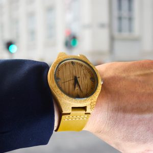 Aletai meteorite watch (1)