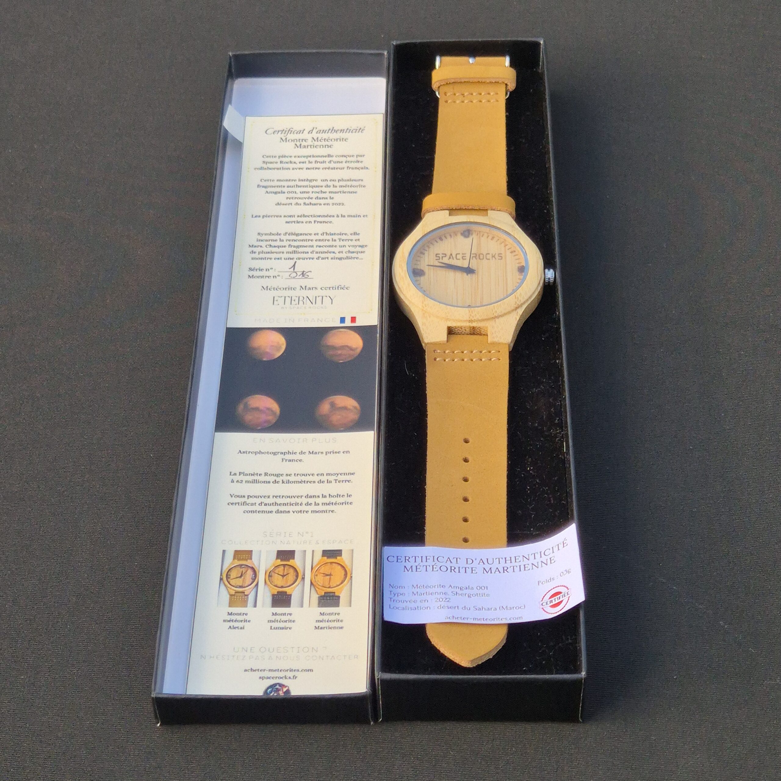 montre mars météorite martienne