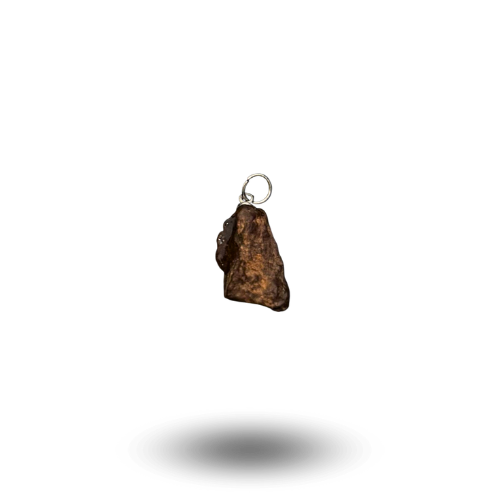 pendant nwa xxx chondrite