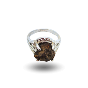 Ring chondrite steel nwa xxx