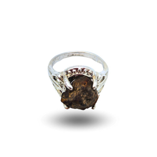 Ring chondrite steel nwa xxx