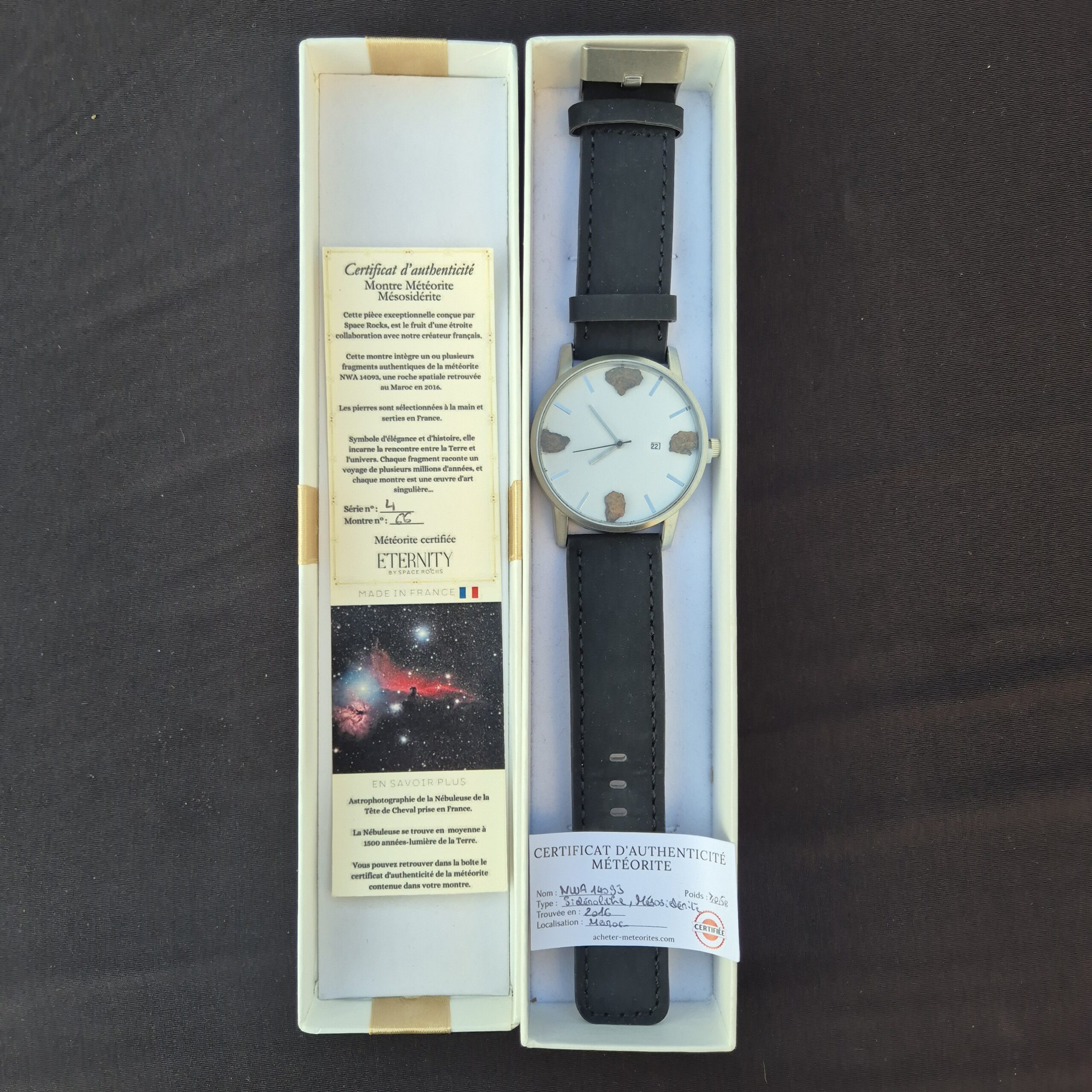 montre météorite nwa mésosidérite