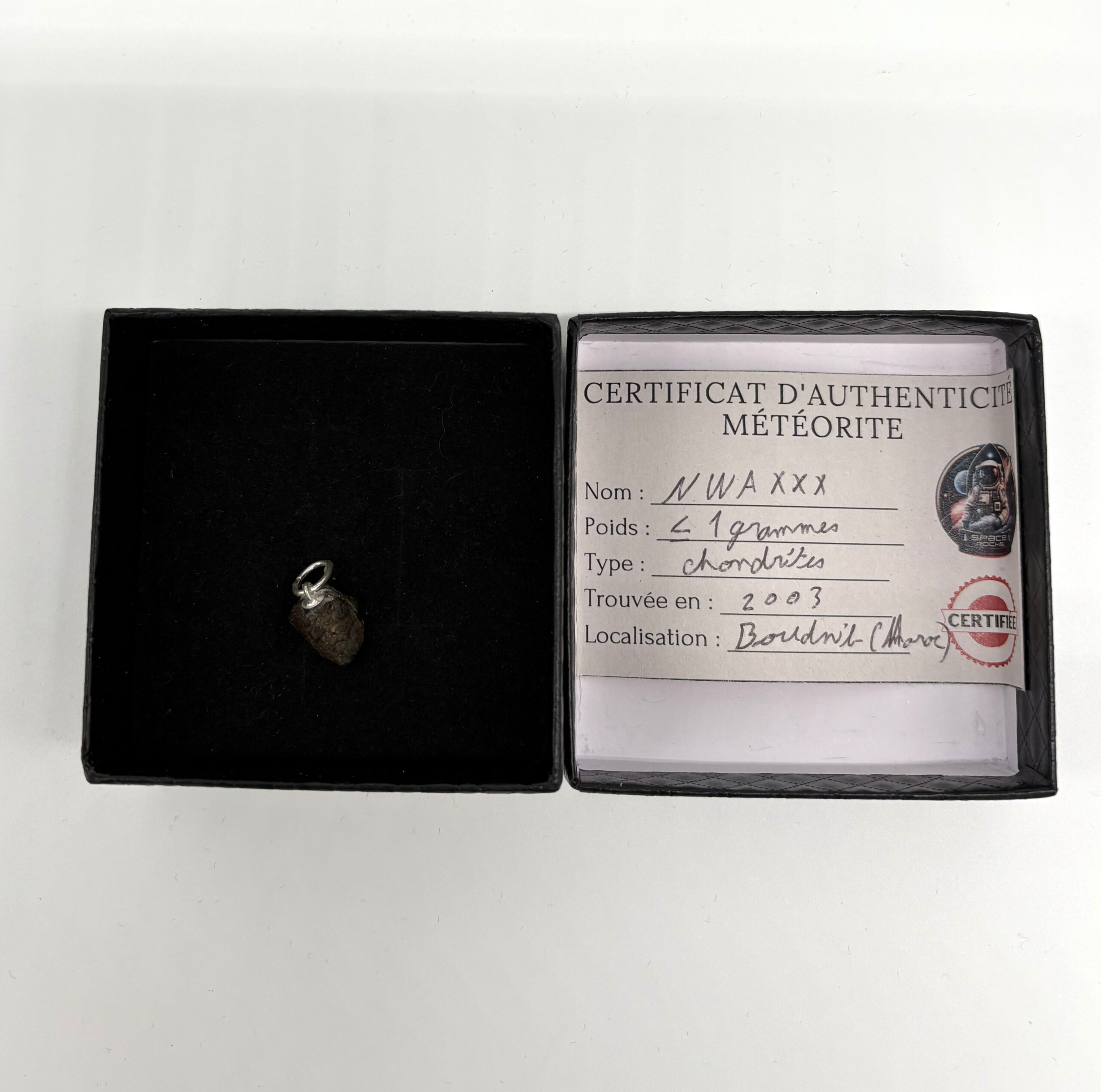 pendant chondrite nwa xxx (1)