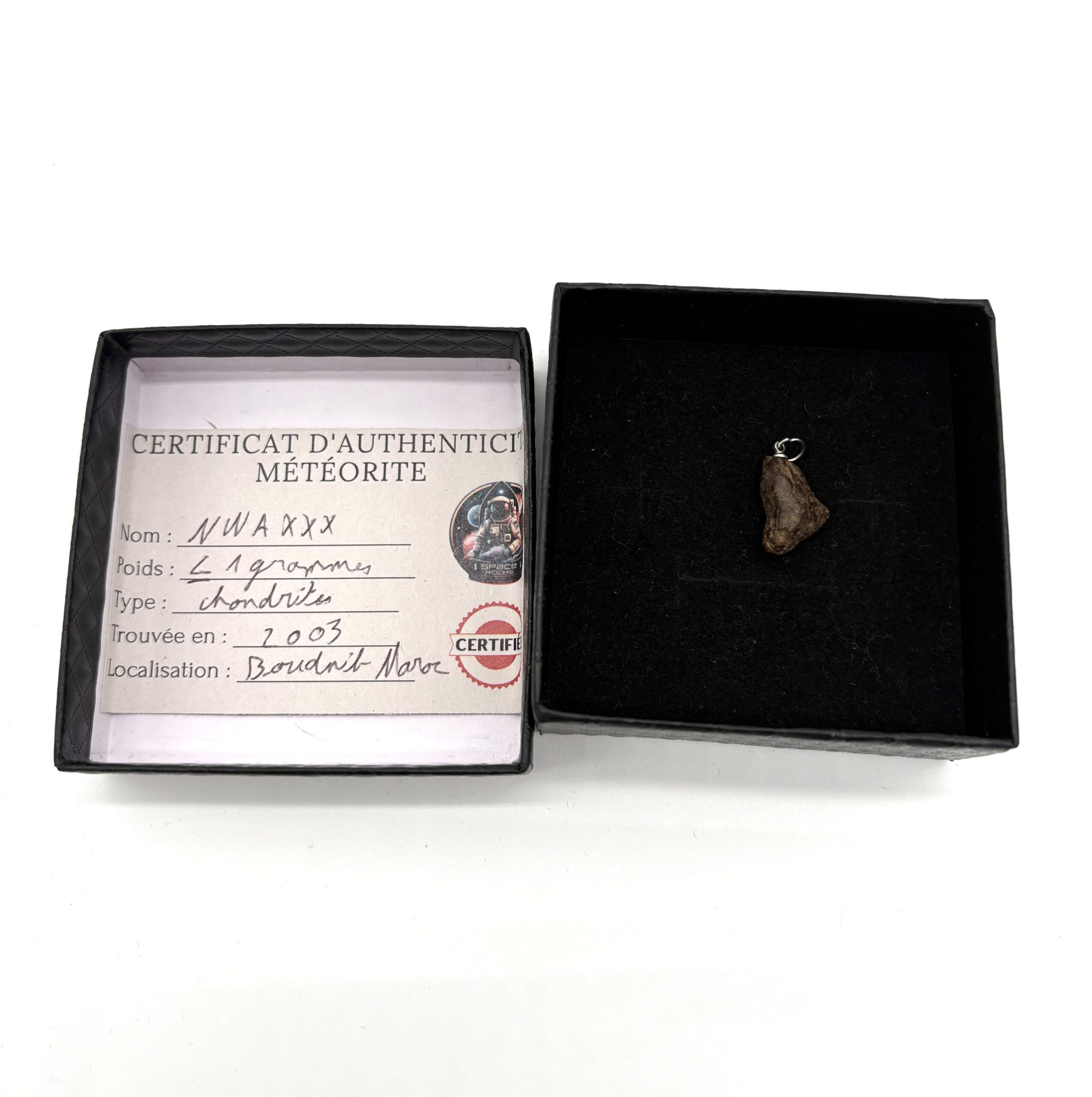 pendant chondrite nwa xxx (10)