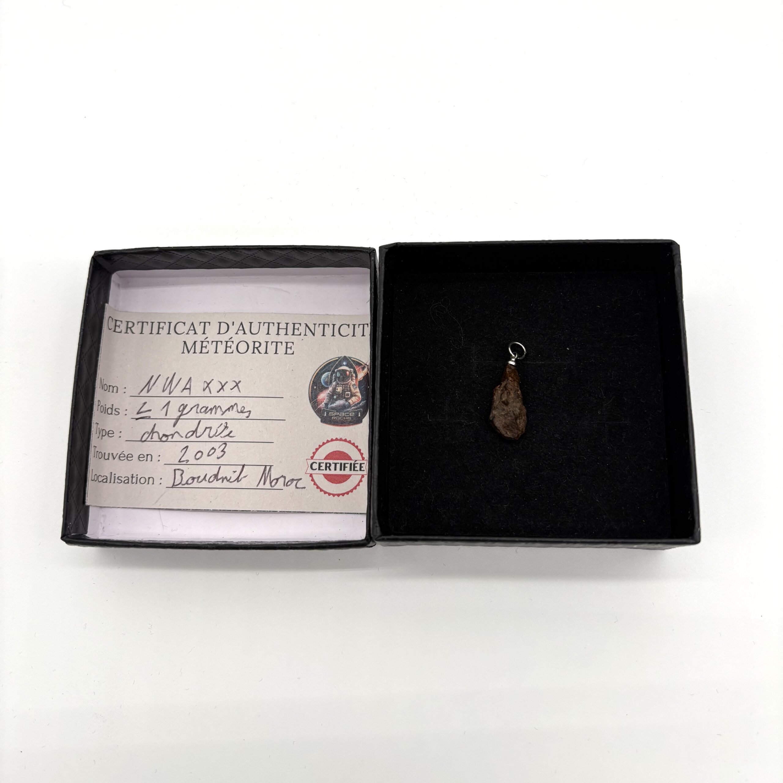 pendant chondrite nwa xxx (11)