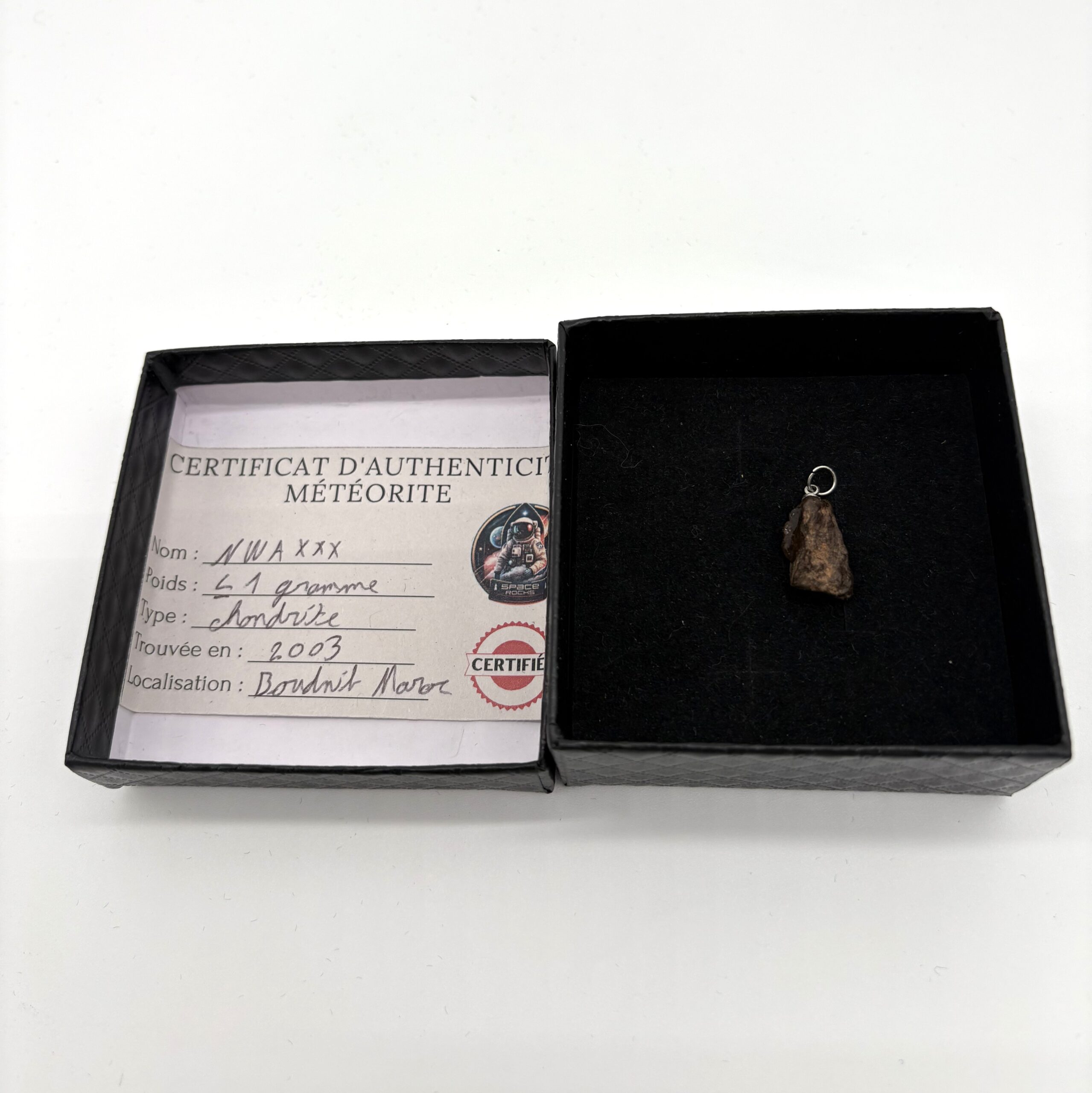 pendant chondrite nwa xxx (13)