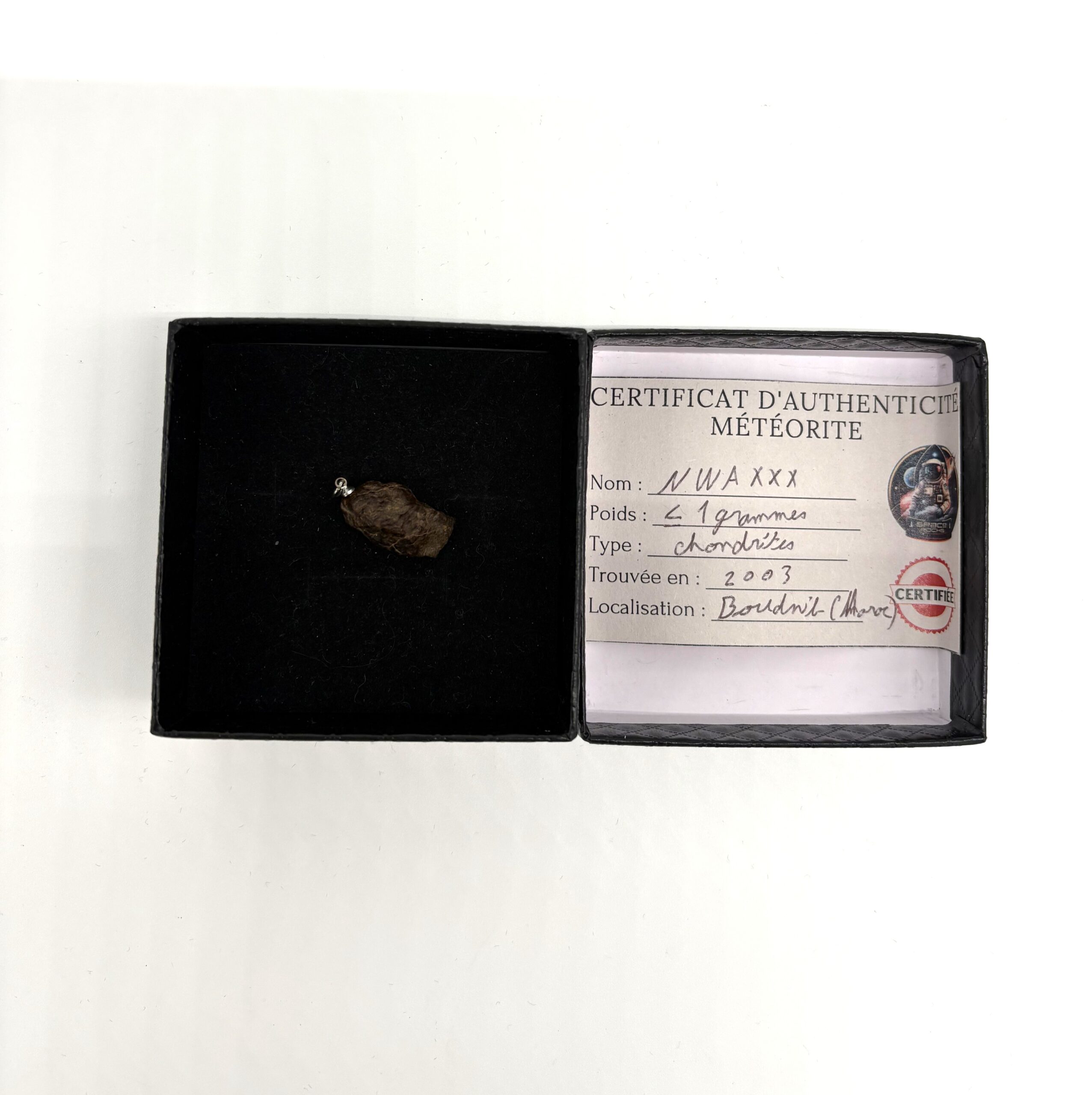 pendant chondrite nwa xxx (2)