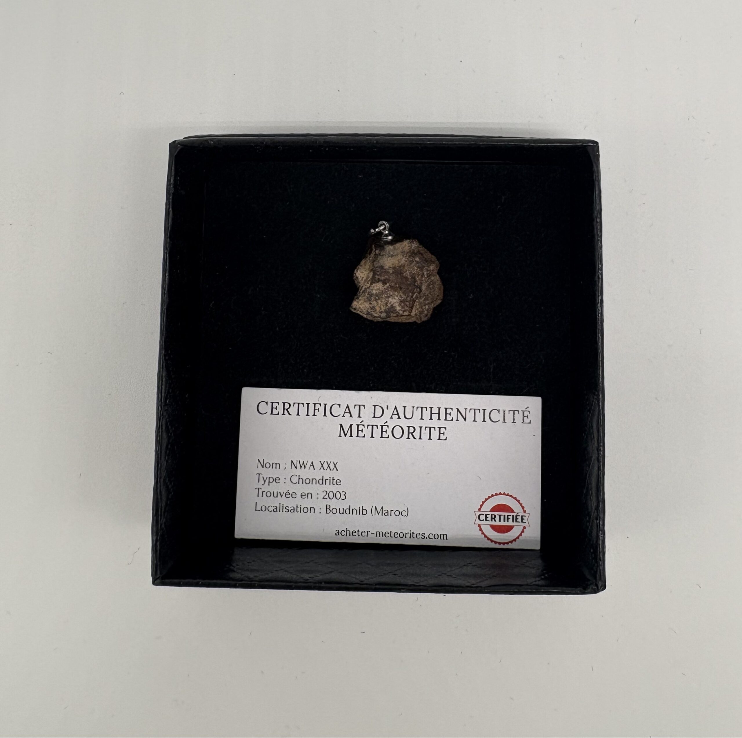 pendant chondrite nwa xxx (3)