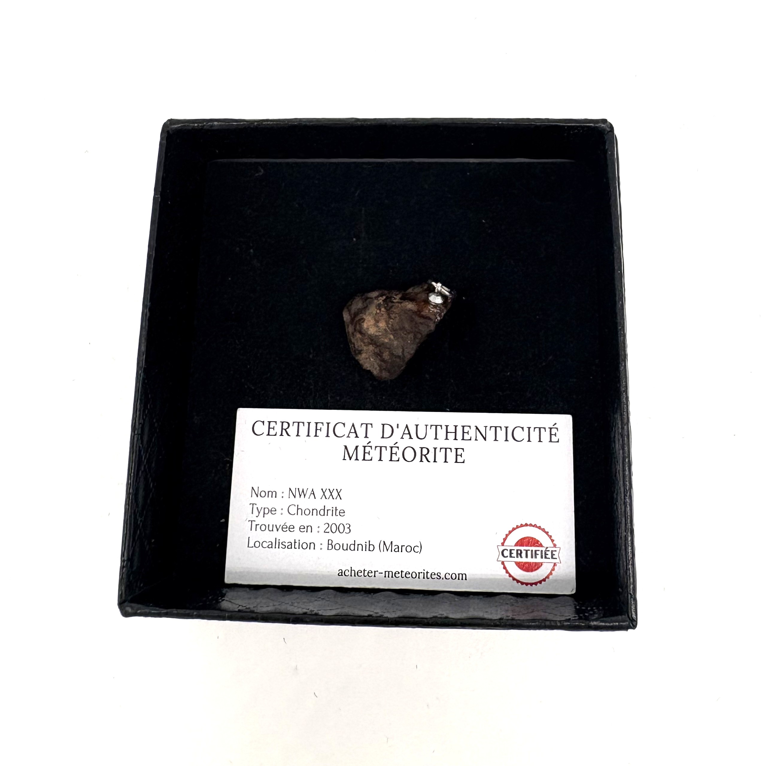 pendant chondrite nwa xxx (4)