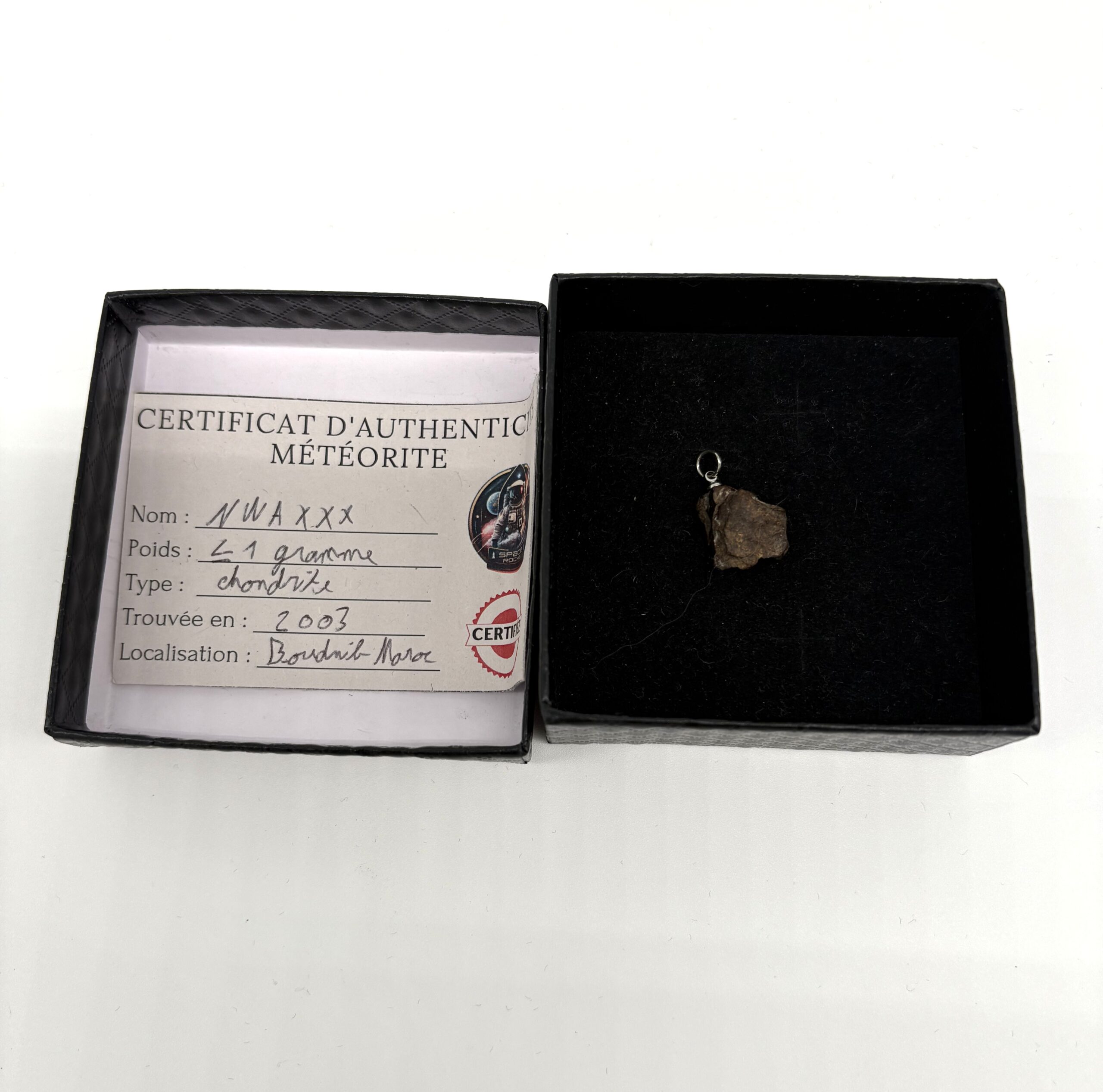 pendant chondrite nwa xxx (5)