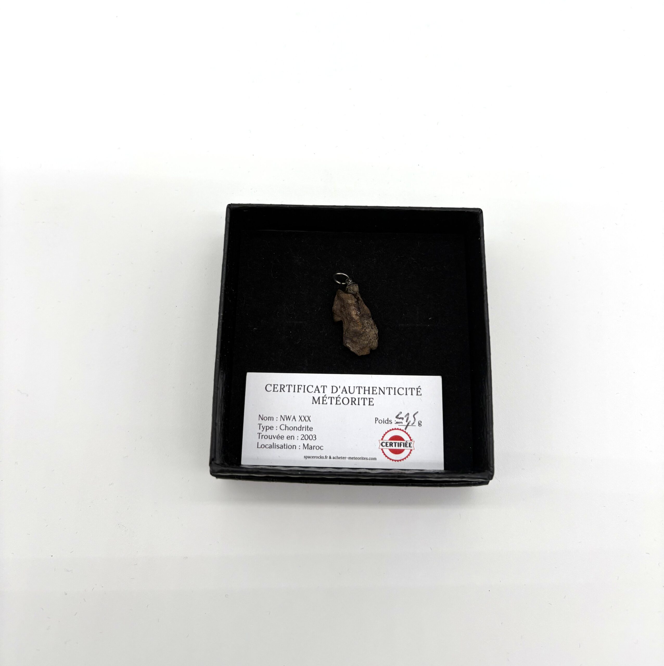 pendant chondrite nwa xxx (6)