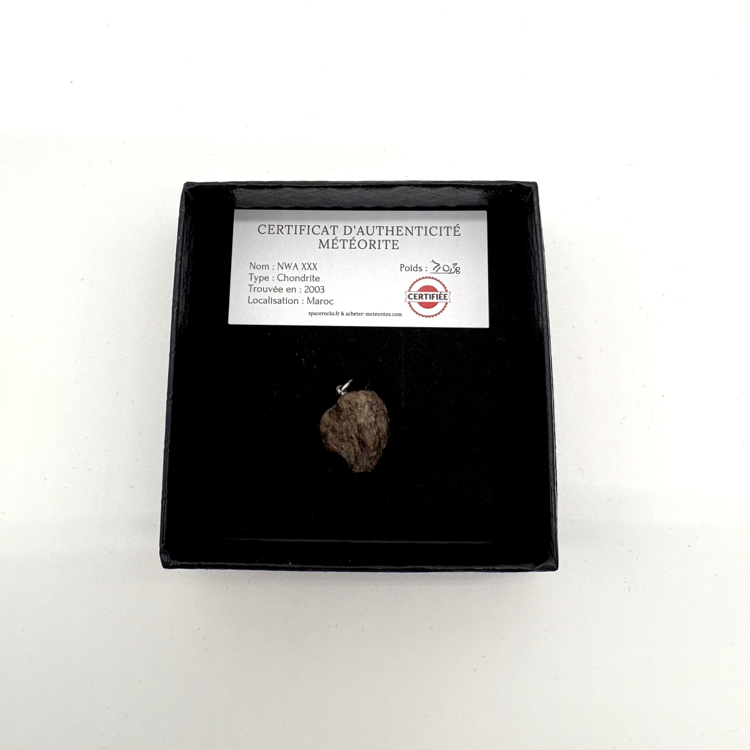 pendant chondrite nwa xxx (7)