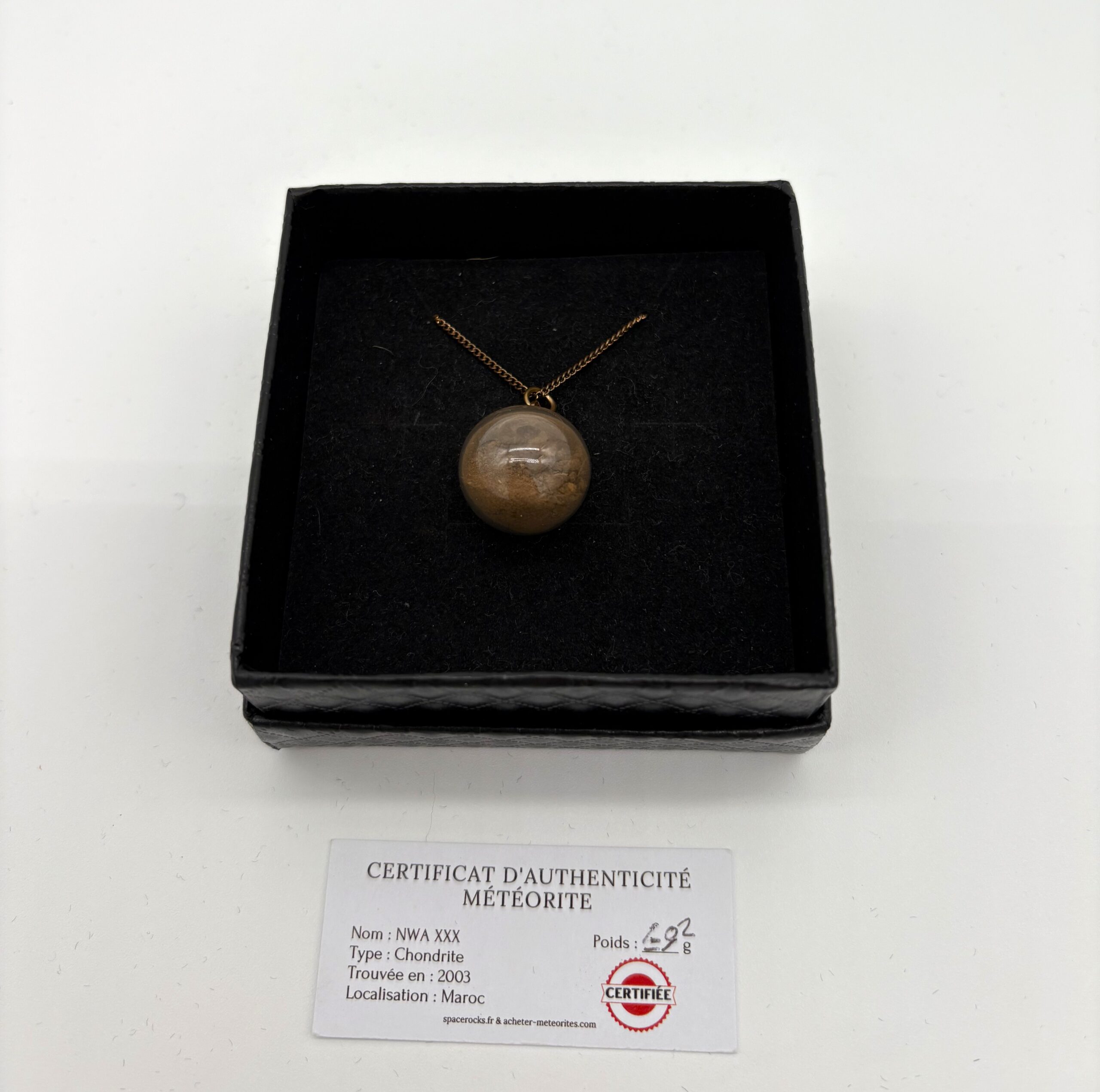 chondrite pendant