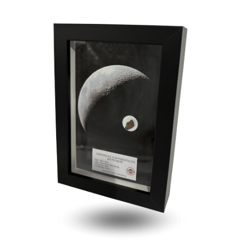mesosiderite frame nwa 14093 photo moon