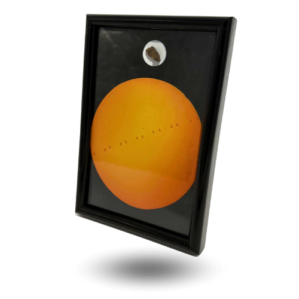 frame nwa xxx transit iss