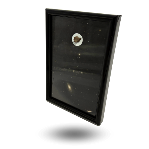 black triplet lion frame