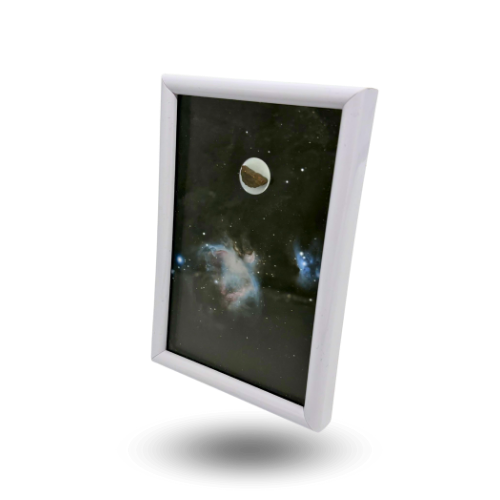 white frame nebula orion
