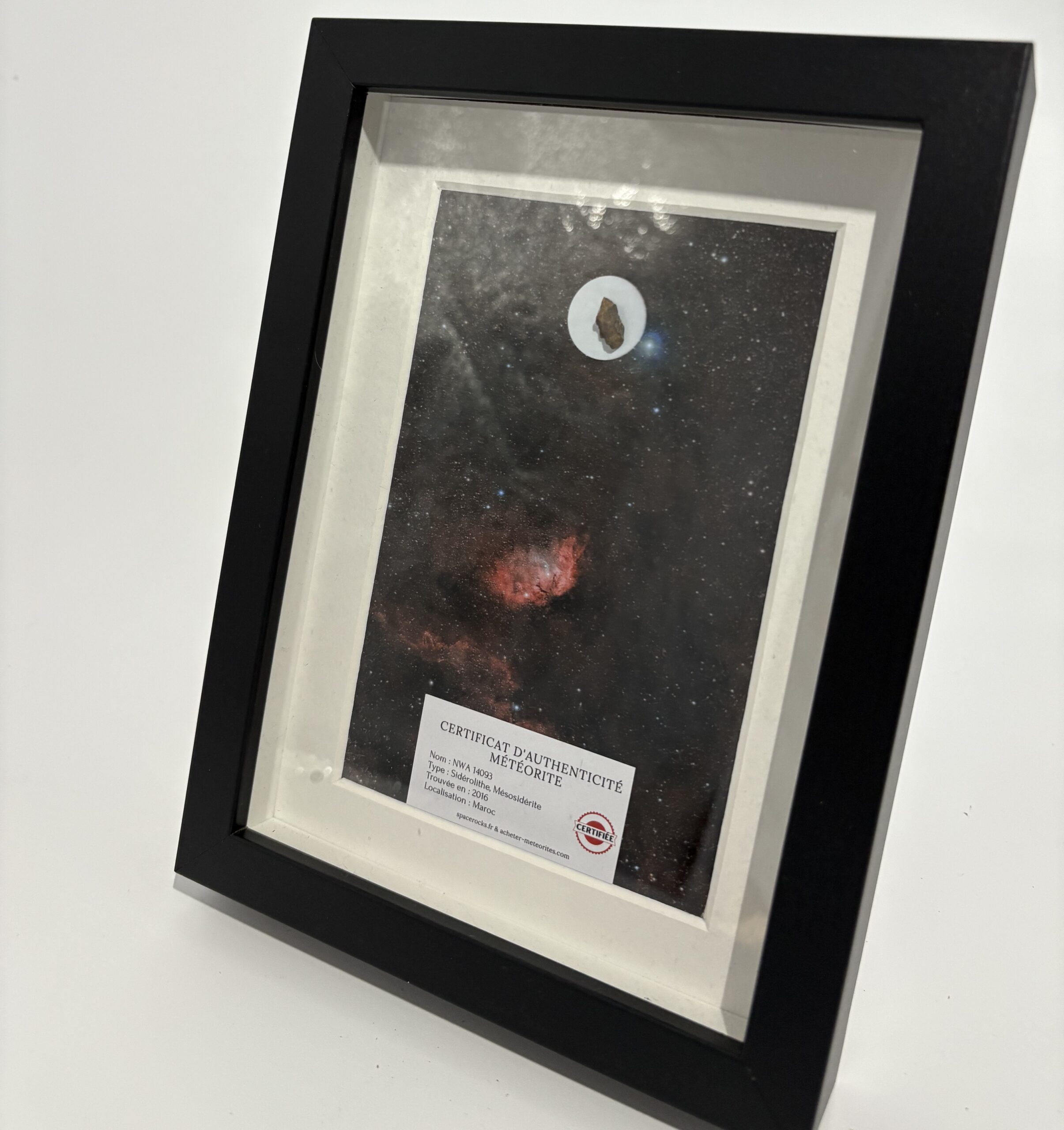 black frame tulip mesosiderite