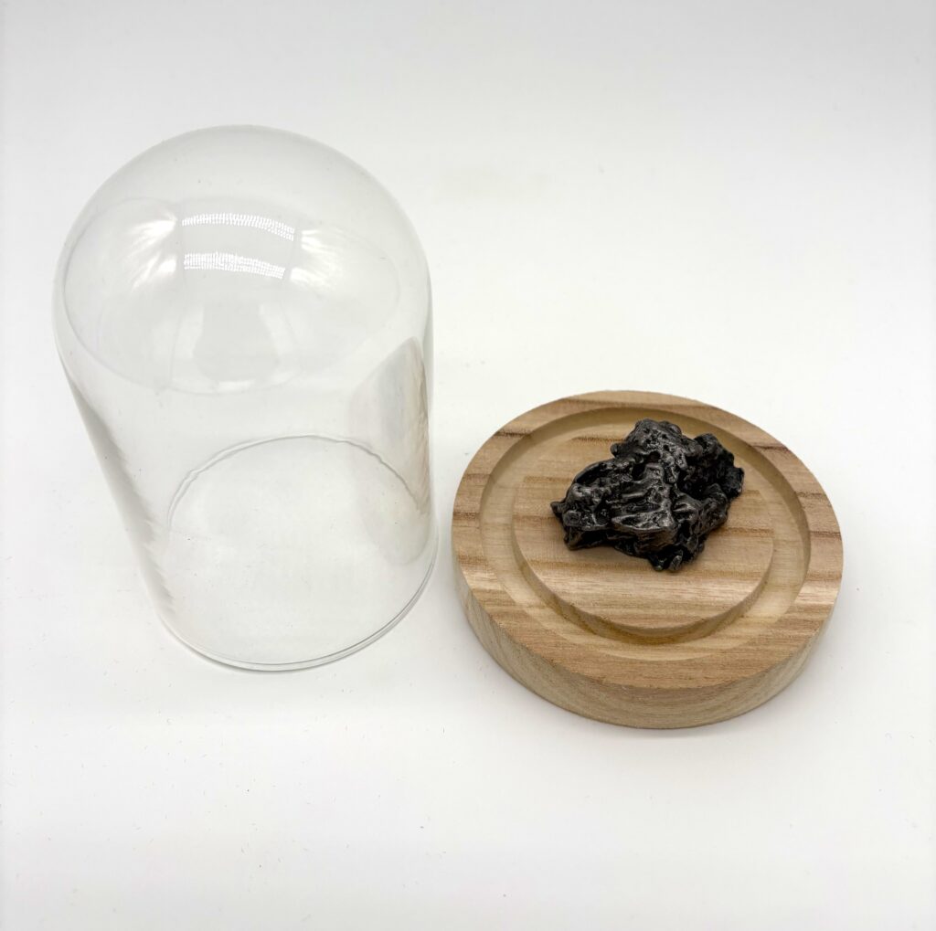 white background meteorite campo del cielo under glass cloche