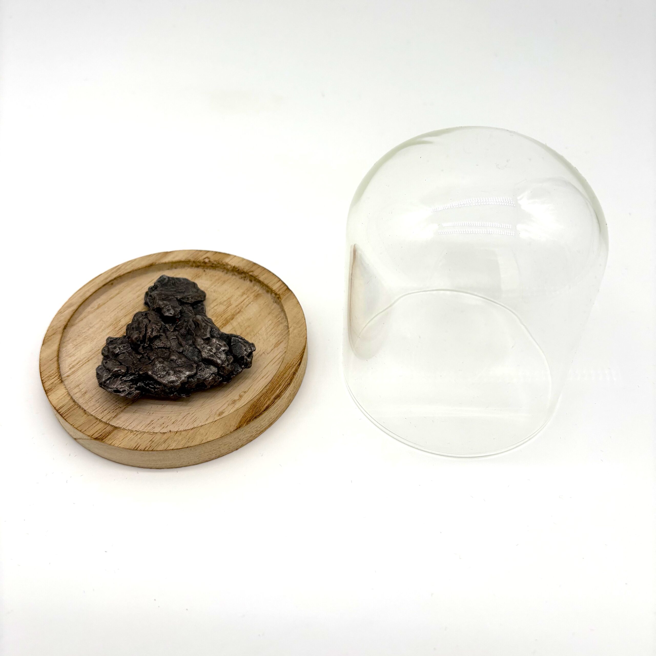 astronomical gift meteorite campo del cielo under glass cloche