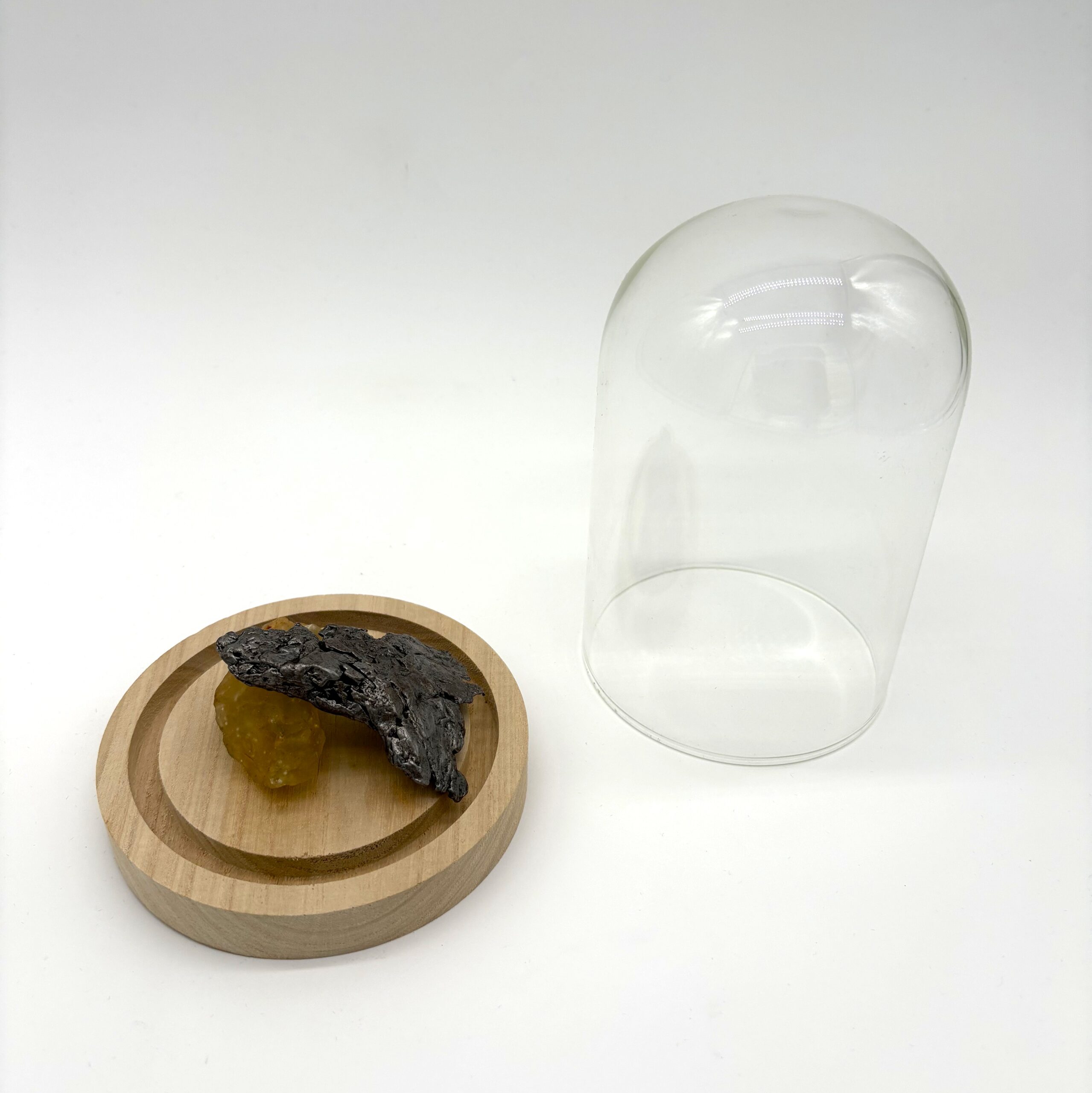 PRODUCT METEORITES CAMPO DEL CIELO GLASS LIBYQUE CLOCHE ENE GLASS WHITE BACKGROUND (1)