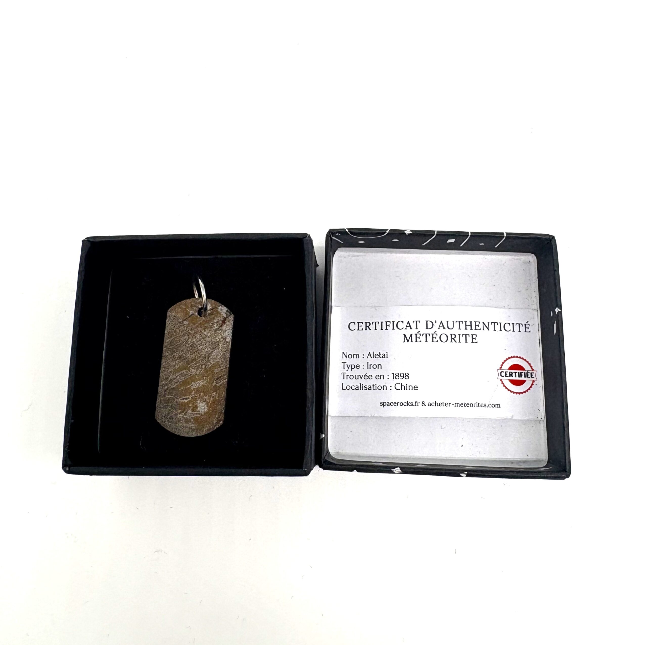 Aletai large pendant cut meteorite
