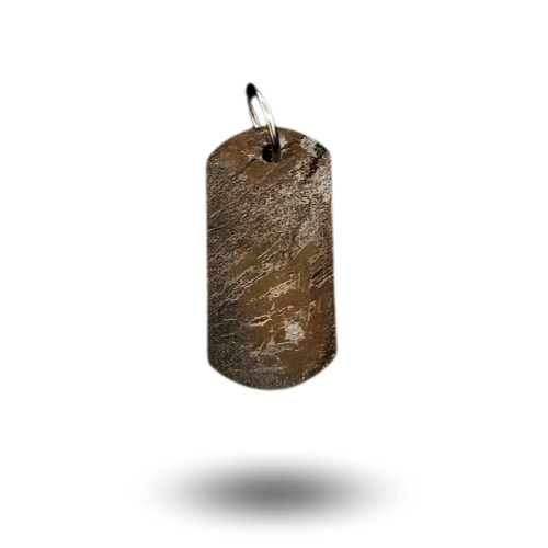 Large Aletai cut meteorite pendant