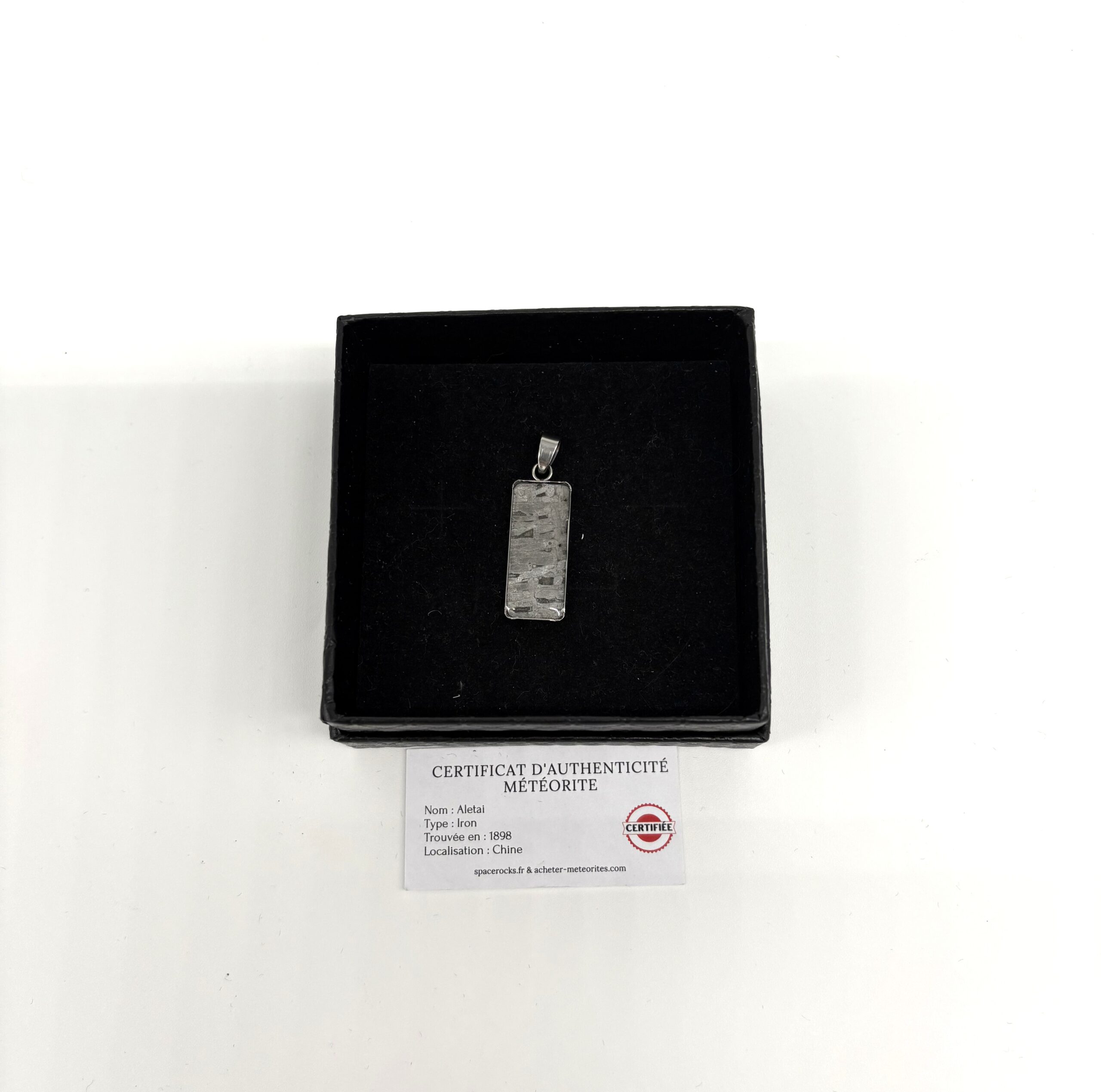 Aletai meteorite pendant