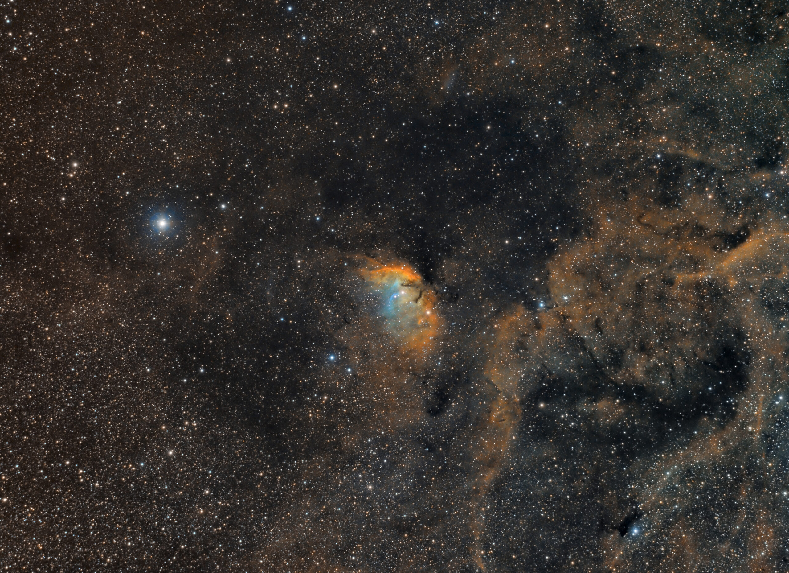 SH2-101 tulip nebula SHO