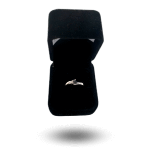 ring laayoune 003 lunar moon meteorite