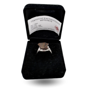 Modern silver signet ring - meteorite Aletai