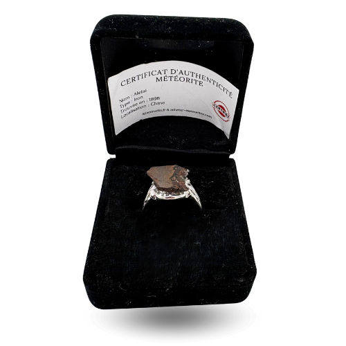 Modern silver signet ring - meteorite Aletai