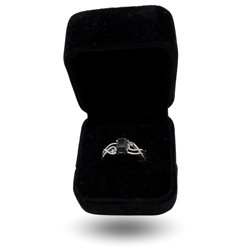 Contemporary silver ring with NWA 13290 and zircons
