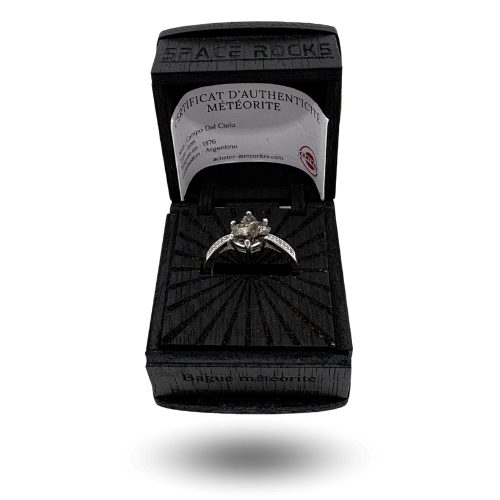 Campo del Cielo cosmic ring, silver-plated - wooden case