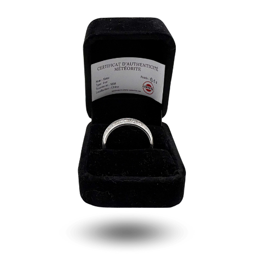 Silver-coloured ring with inlaid Aletai meteorite band