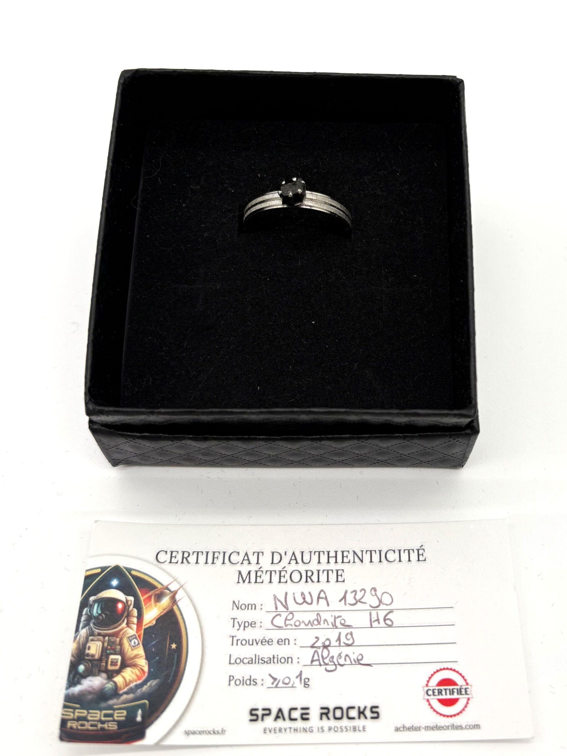 Silver design ring - double band and meteorite NWA 13290