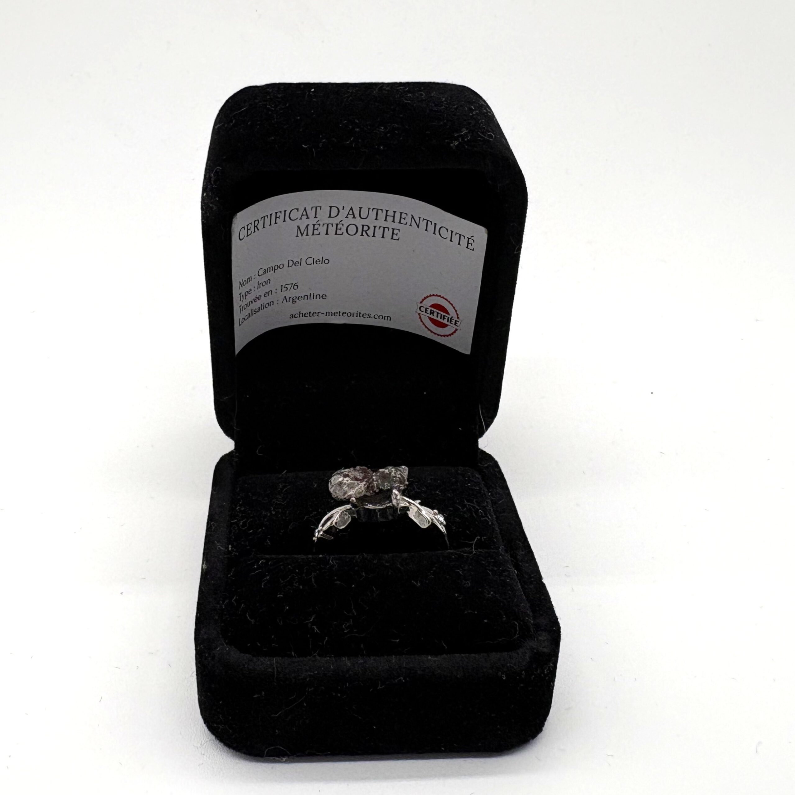 Fancy silver ring - vine leaf and Campo del Cielo motif