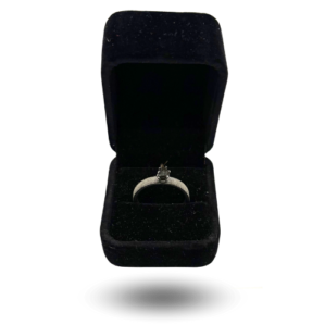 Modern silver ring with NWA 13290