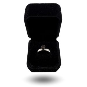 Refined silver ring with NWA 13290 and delicate ornament