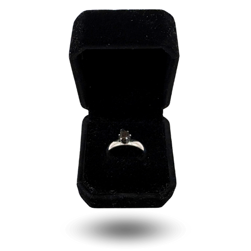 Refined silver ring with NWA 13290 and delicate ornament