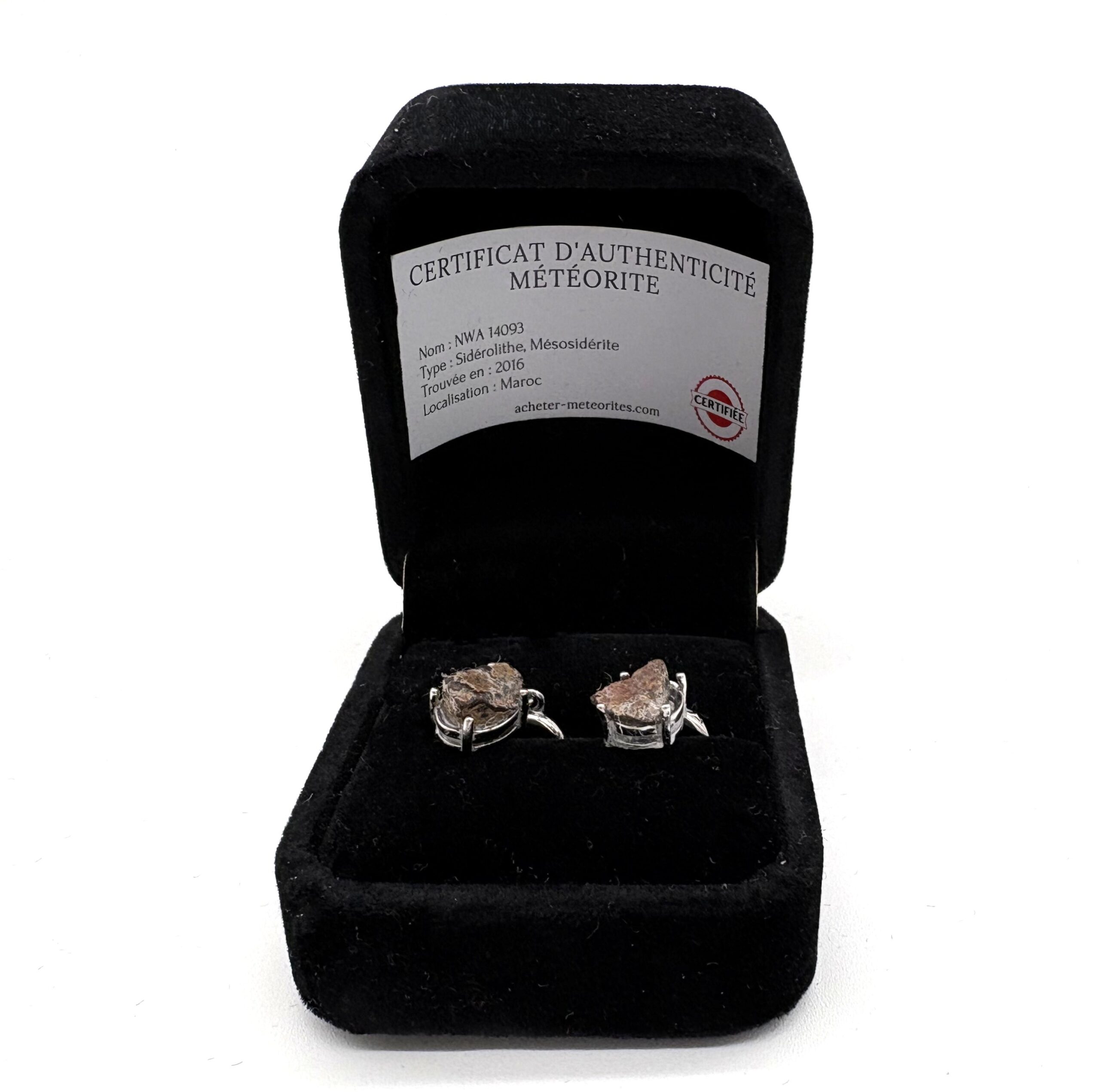 Silver earrings with meteorite NWA 14093