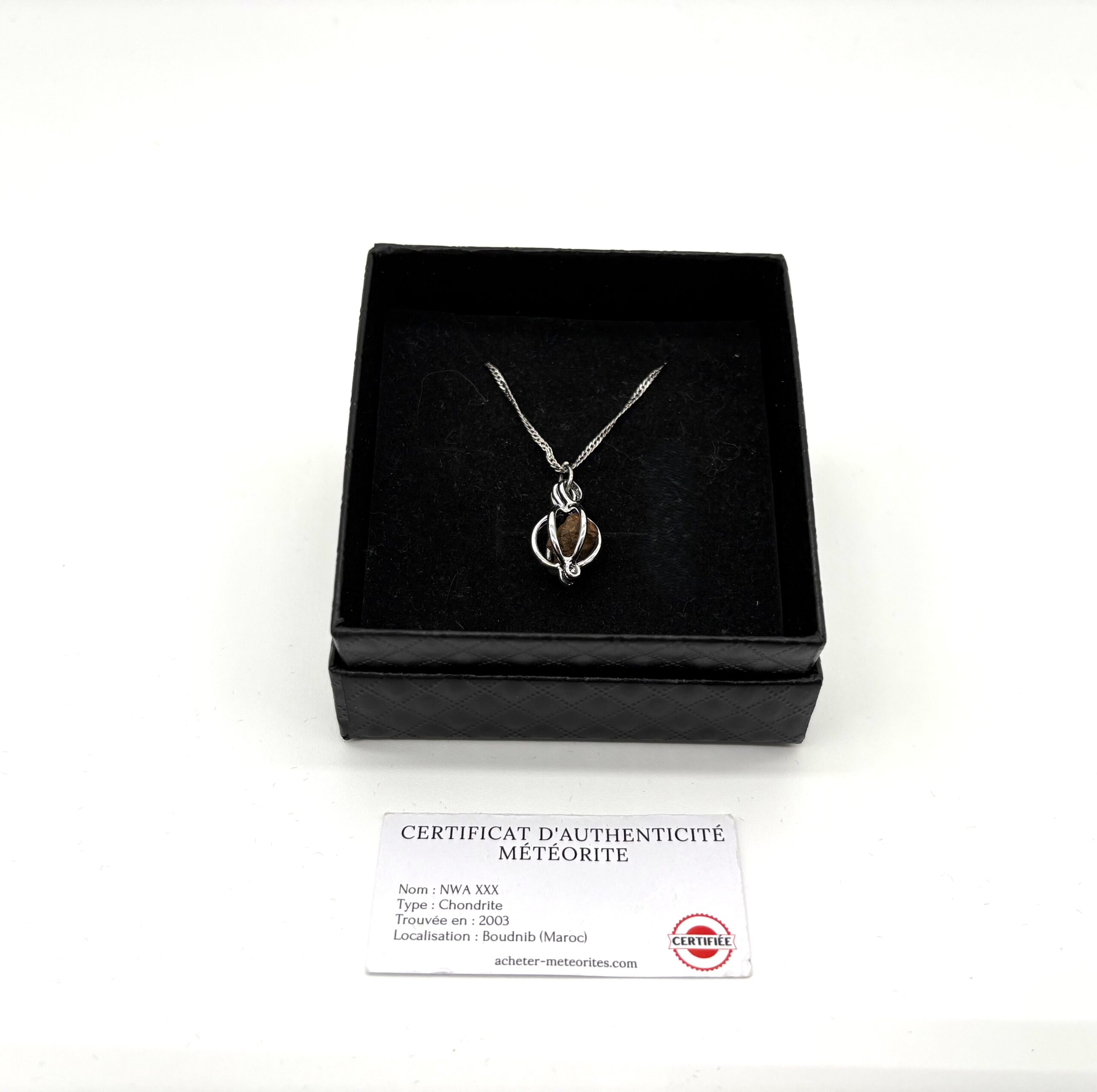 Silver necklace with cage pendant and NWA XXX