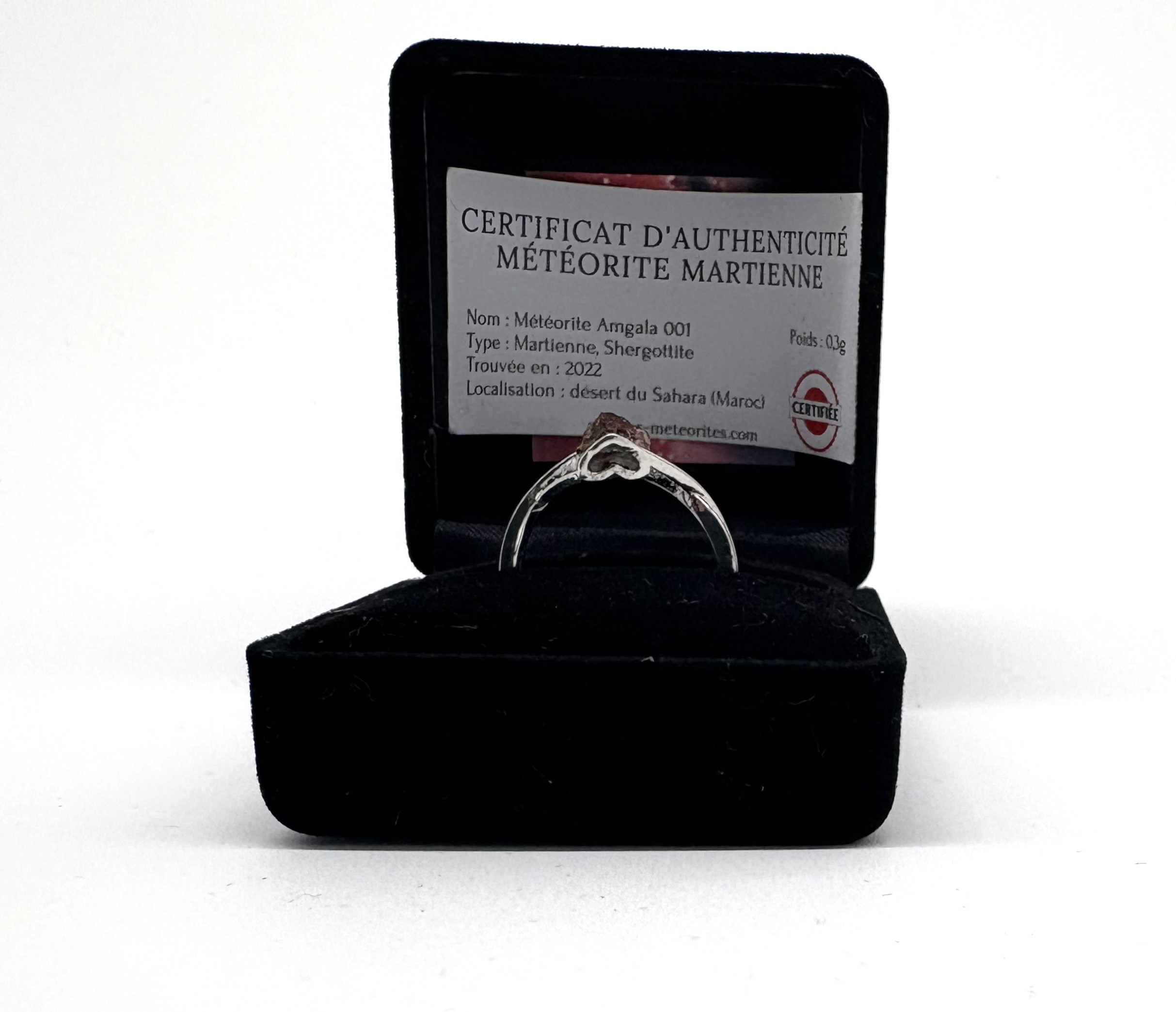 meteorite mars ring