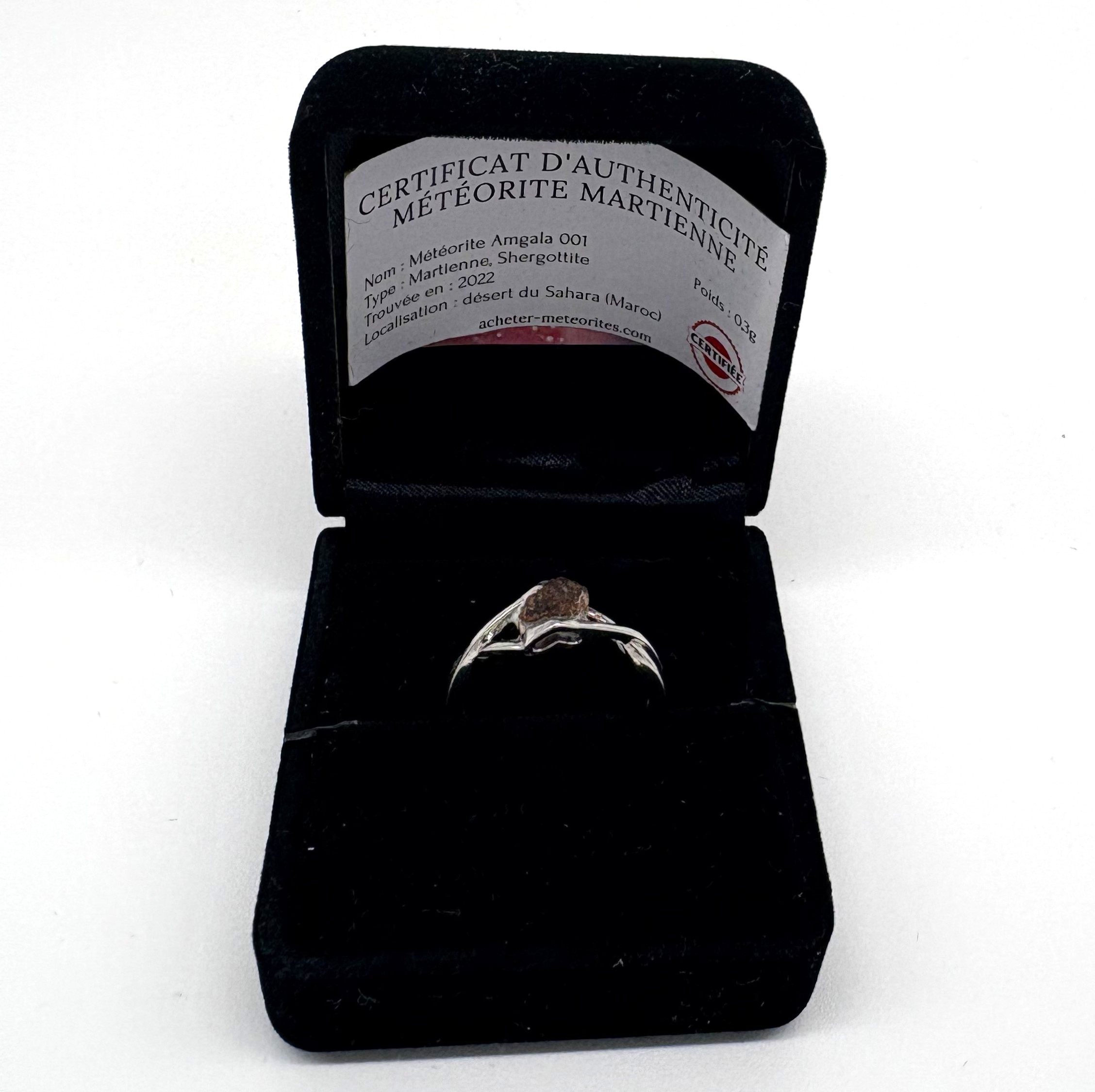 ring meteorite mars