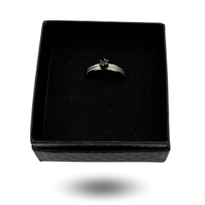 meteorite silver design ring